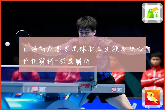 肖领衔新赛季足球职业生涯与核心价值解析-深度解析